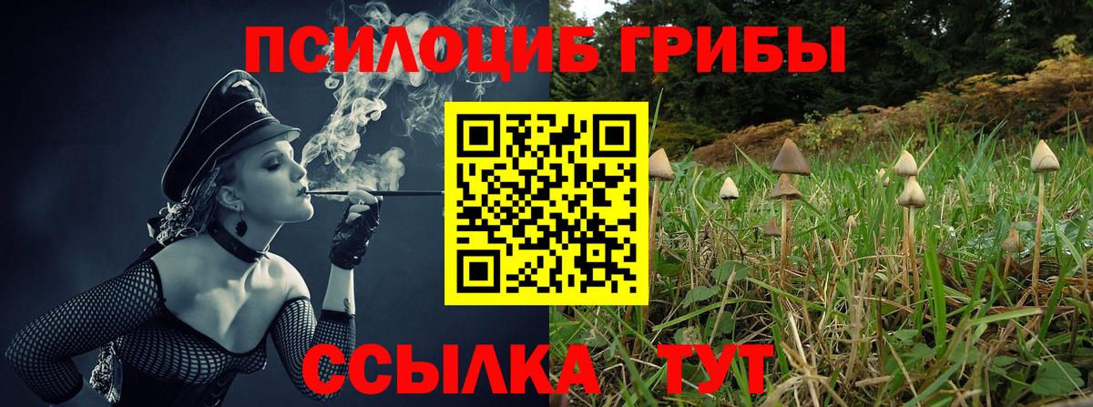 Псилоцибиновые грибы мицелий  Галлюциногенные грибы MAGIC MUSHROOMS  Отрадный  Вход с VPN 