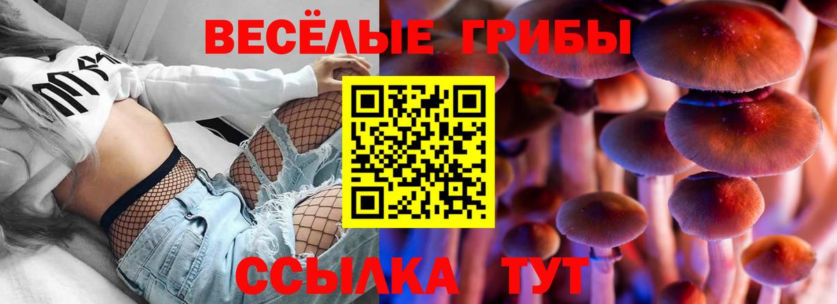 Галлюциногенные грибы Psilocybe Отрадный