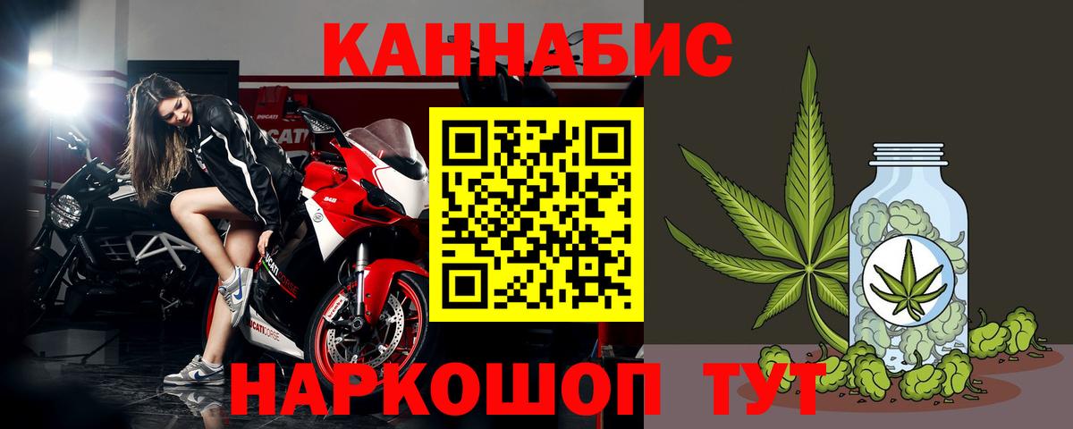 Канабис OG Kush Отрадный